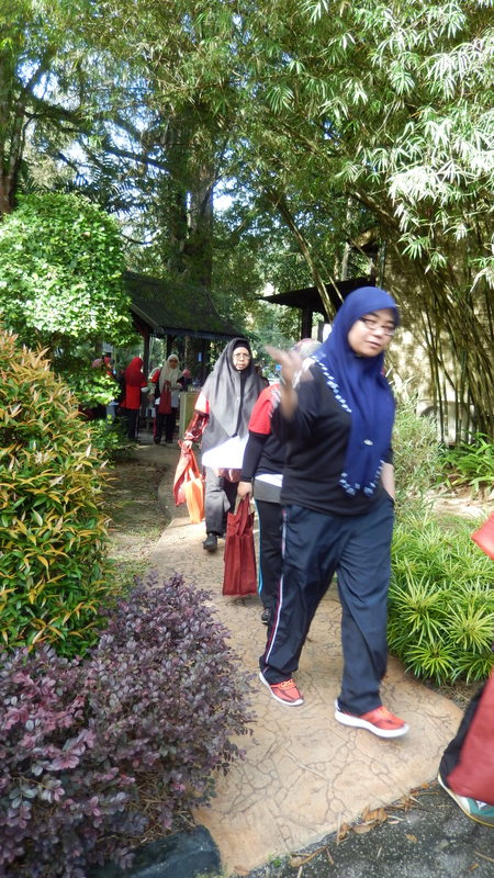 0739 DSCN0663
